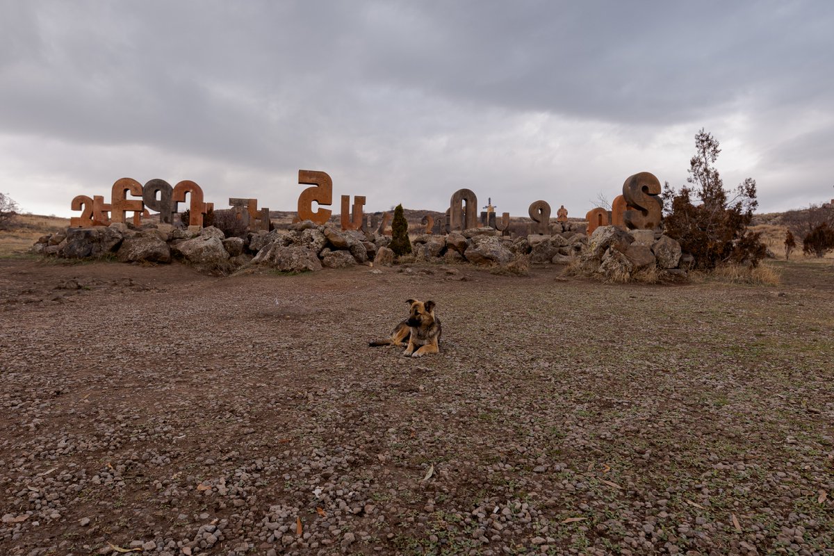KevinPicture257's tweet photo. A puppy just relaxing in front of the armenian alphabet &amp; keeping an eye out for things.

#photography #photojournalism #camera #doglover #dog https://t.co/IJA0p5aDJC
