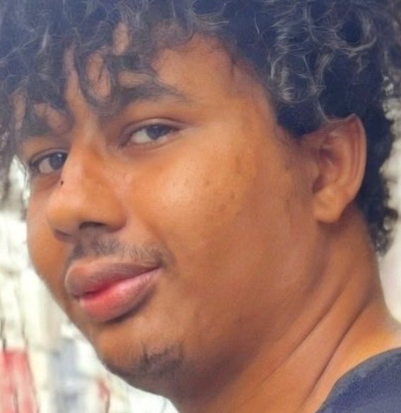 🐻‍❄️Welsh Rainforest Bear 🐻‍❄️ tweet media