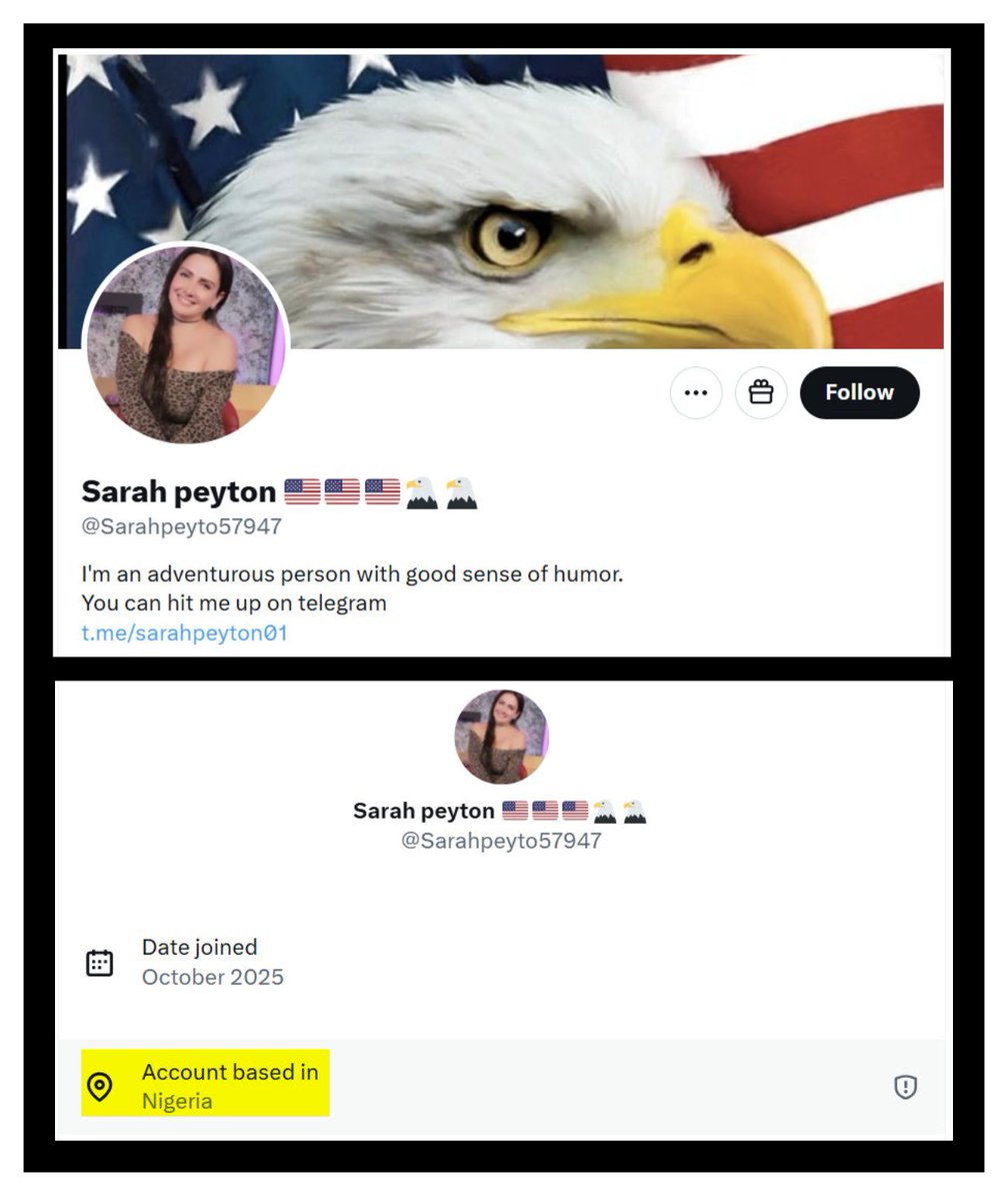 Catfish tweet media