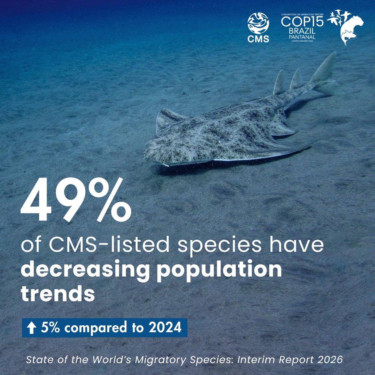 UN Environment Programme tweet media