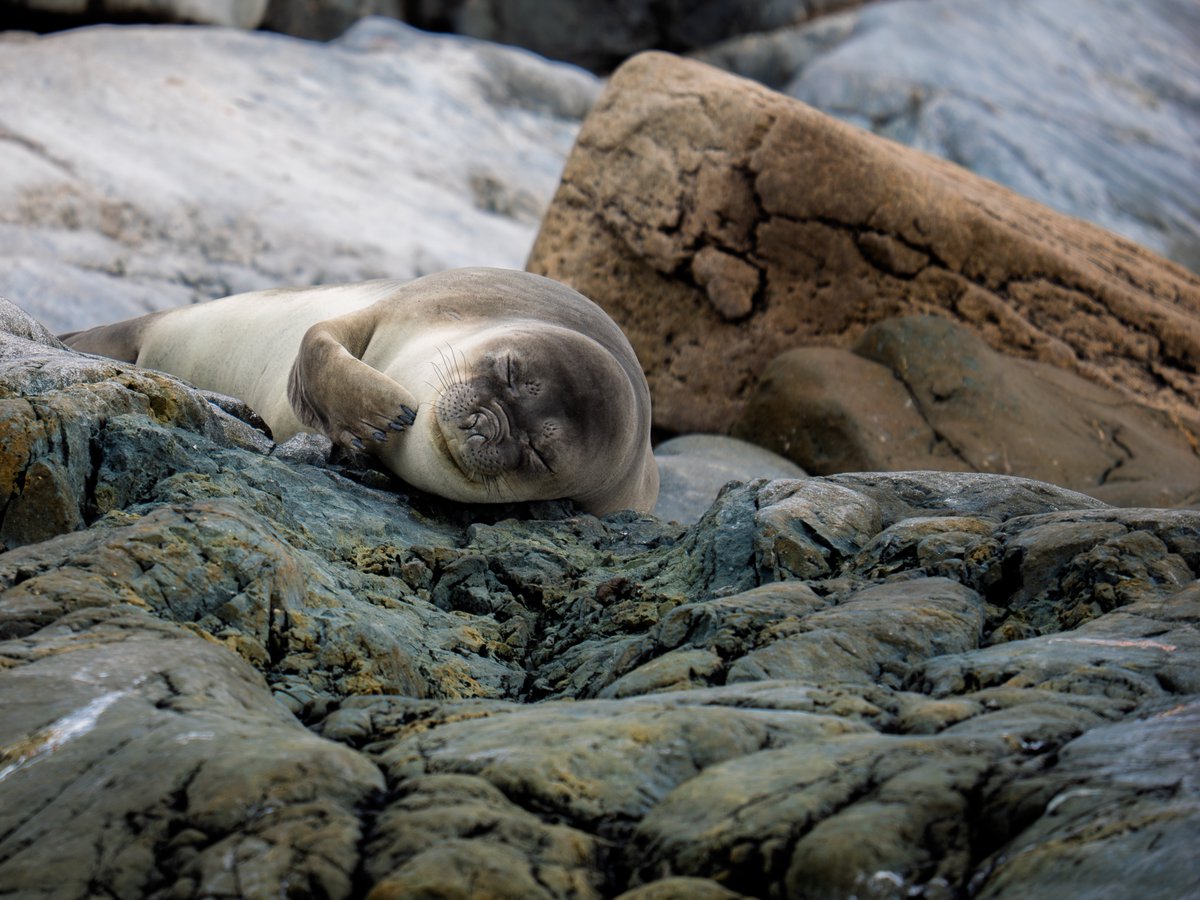 Thomas Falls tweet media