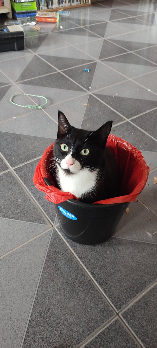 Novus Necrontyr tweet media