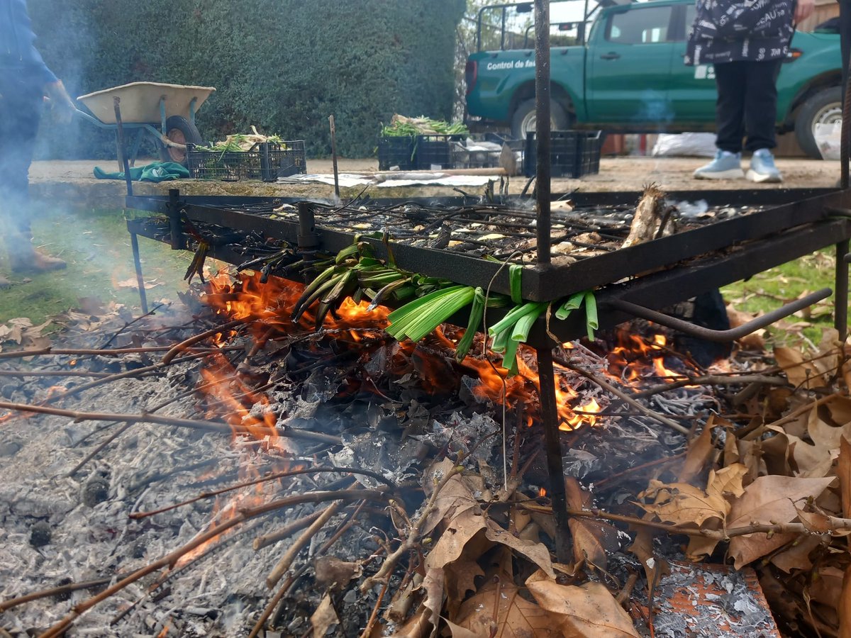 Escola Agrària de Tàrrega tweet media