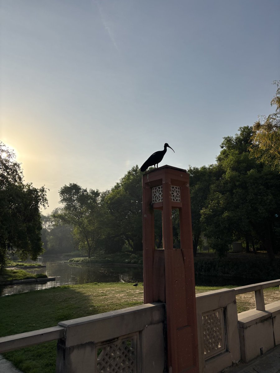 Pankaj Pachauri tweet media