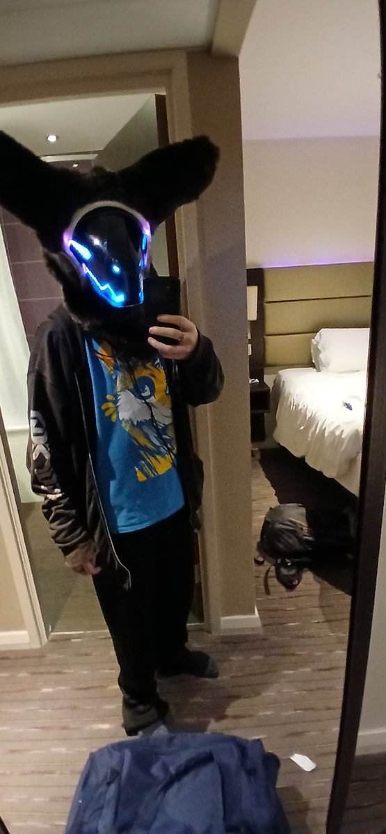 Malachai the Merle 🔜 JAnimalz 🔜 Scotiacon tweet media