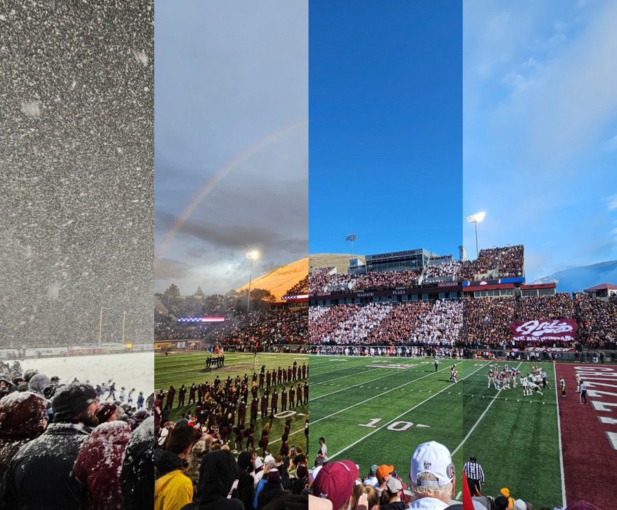 CSG Griz tweet media