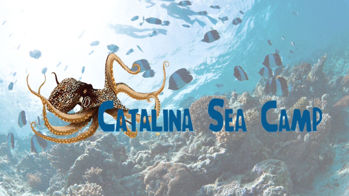 Environmental Career Opportunities (ECO) tweet media