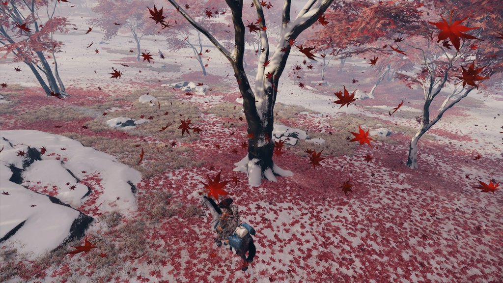 Sesha_CR7📸 tweet media