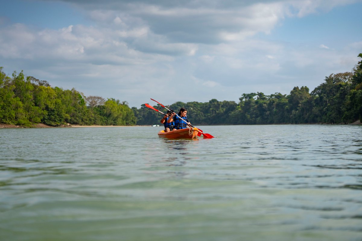 Turismo Chiapas tweet media