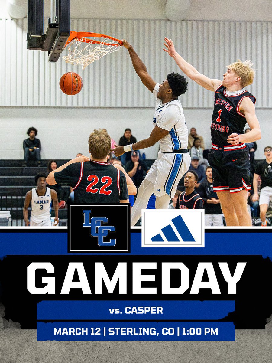 Lamar CC Basketball tweet media