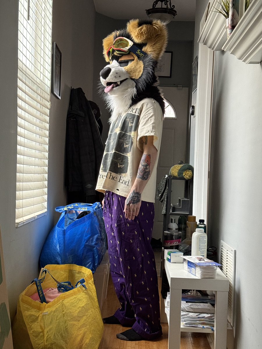 norf 🫠 tweet media