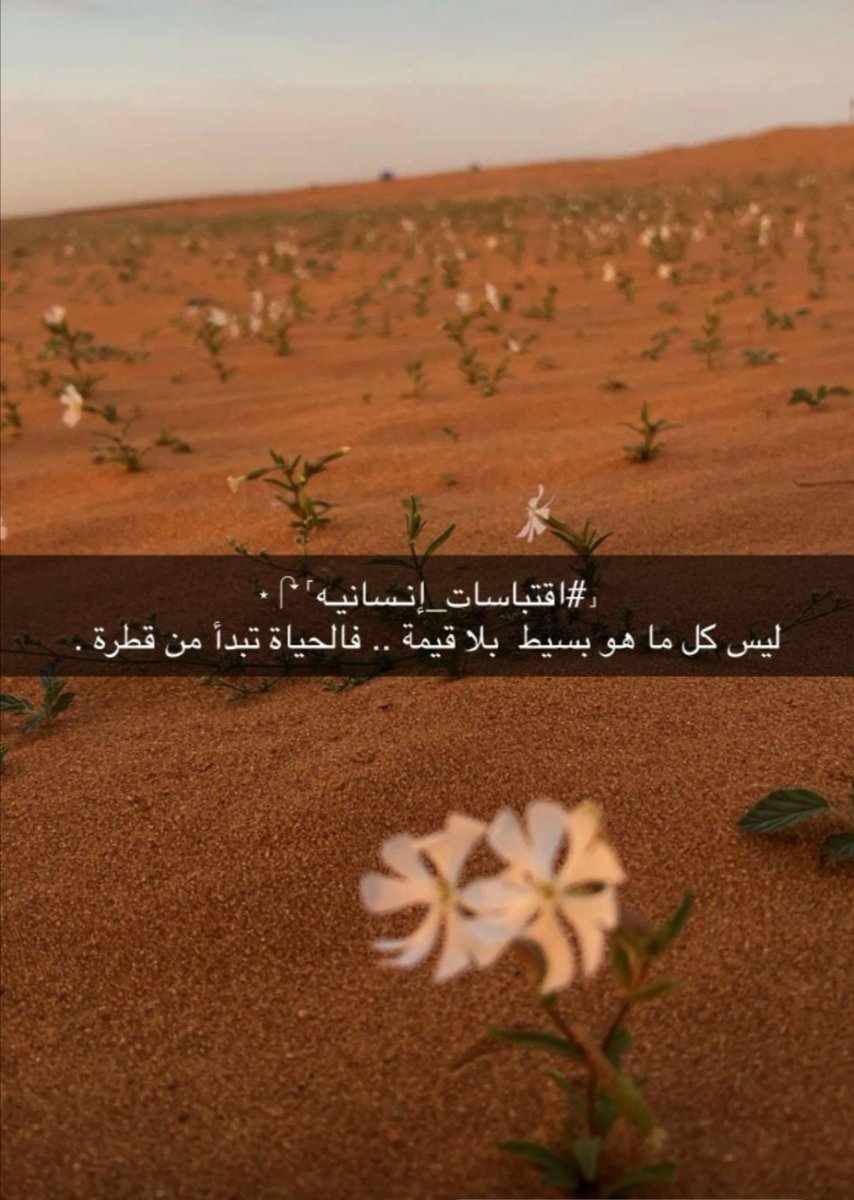 قيمه..