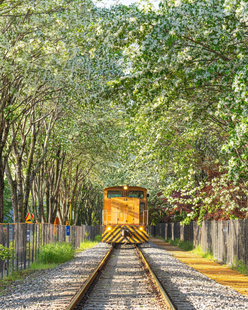 Visit Korea UK tweet media