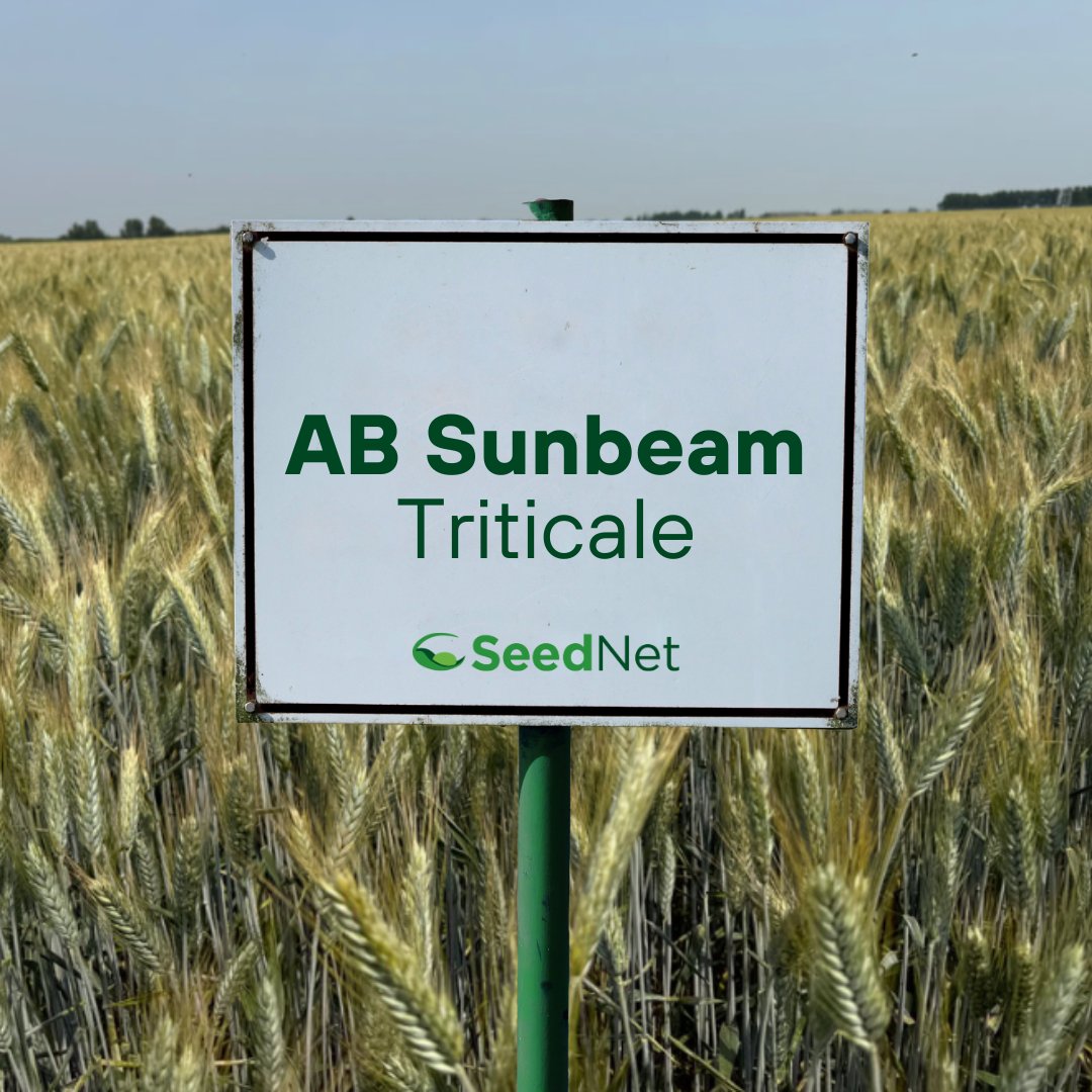 SeedNet Inc. tweet media