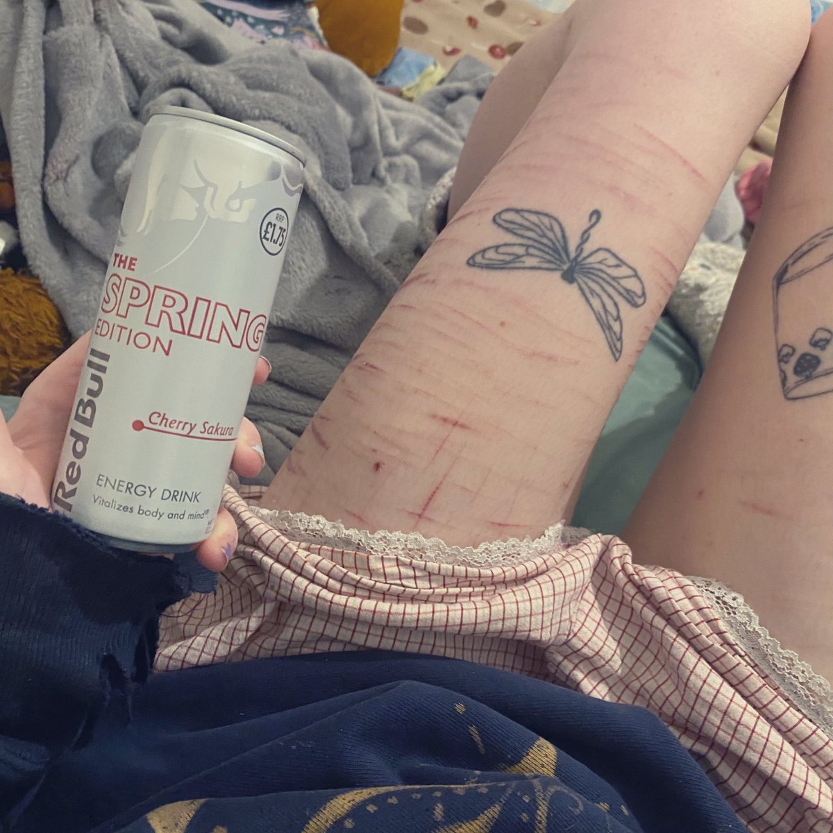 mango 🪼 tweet media