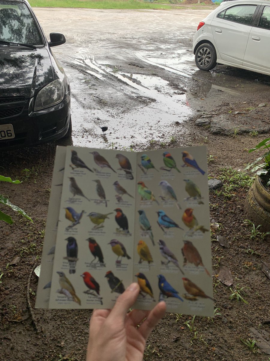 fica parado aí colega to te procurando