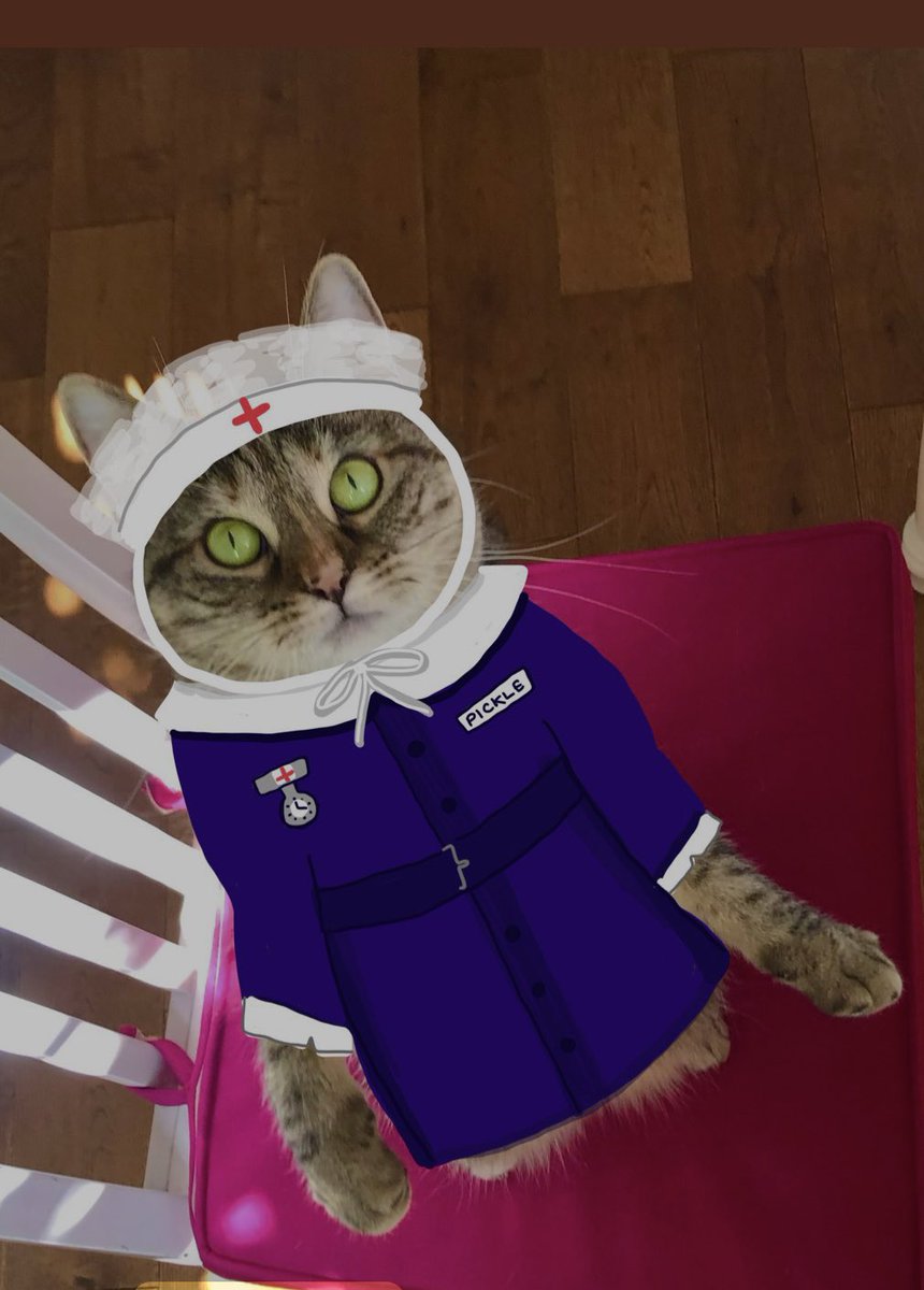 Jane Fallon tweet media