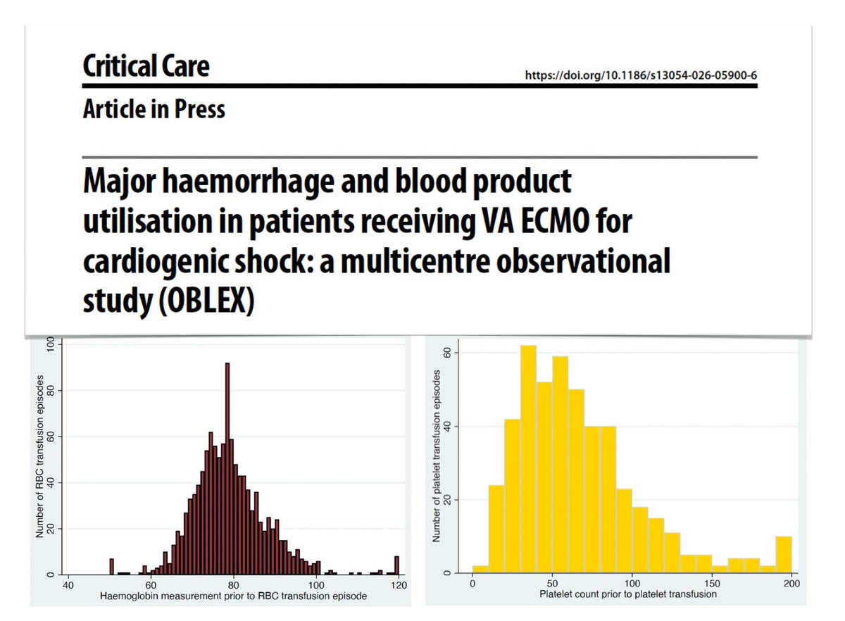 M Velia Antonini tweet media
