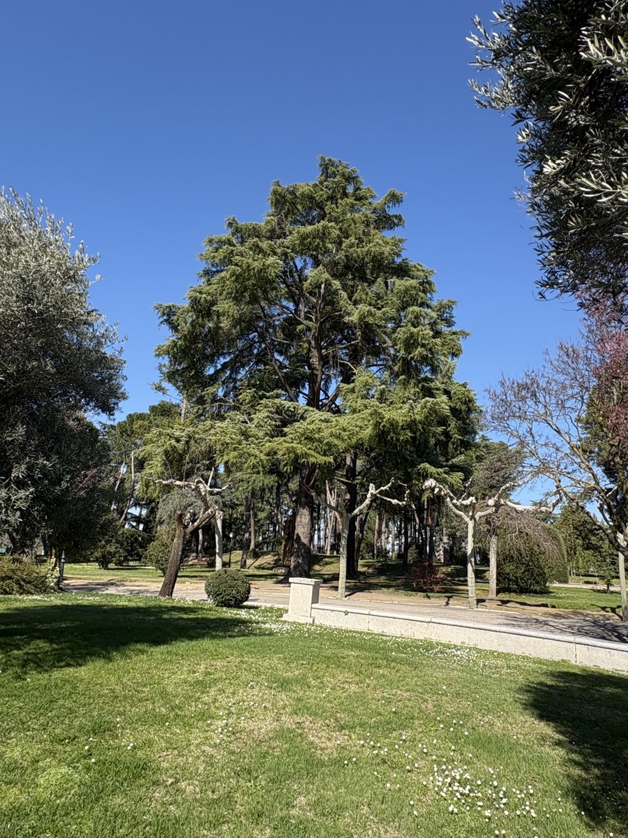 ALASTAIR CAMPBELL tweet media