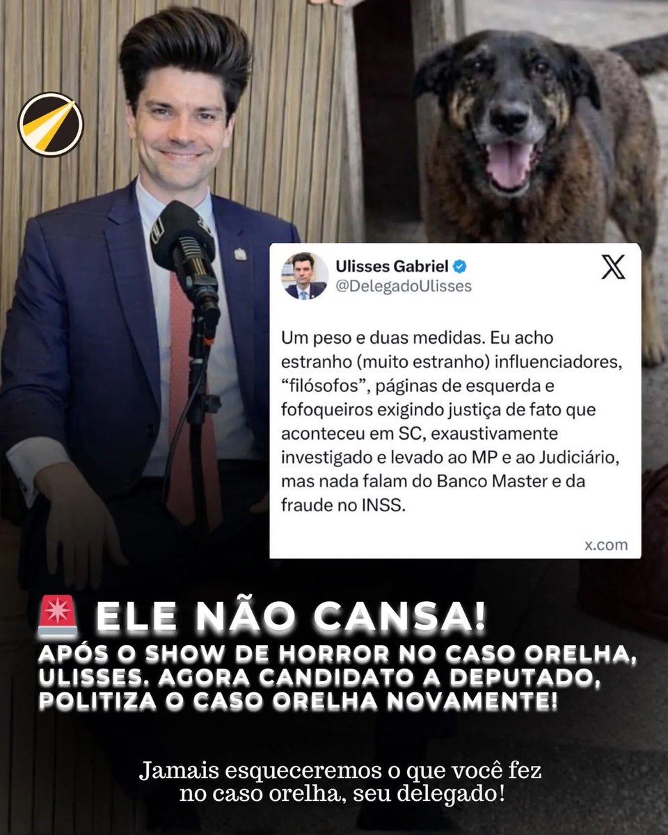 Você falhou, delegado. No caso Orelha, a dor foi grande demais para ser tratada com silêncio e descaso. A memória permanece viva e a cobrança por justiça também. Orelha não será esquecido. Justiça é o mínimo. 🐾
#JustiçaPorOrelha