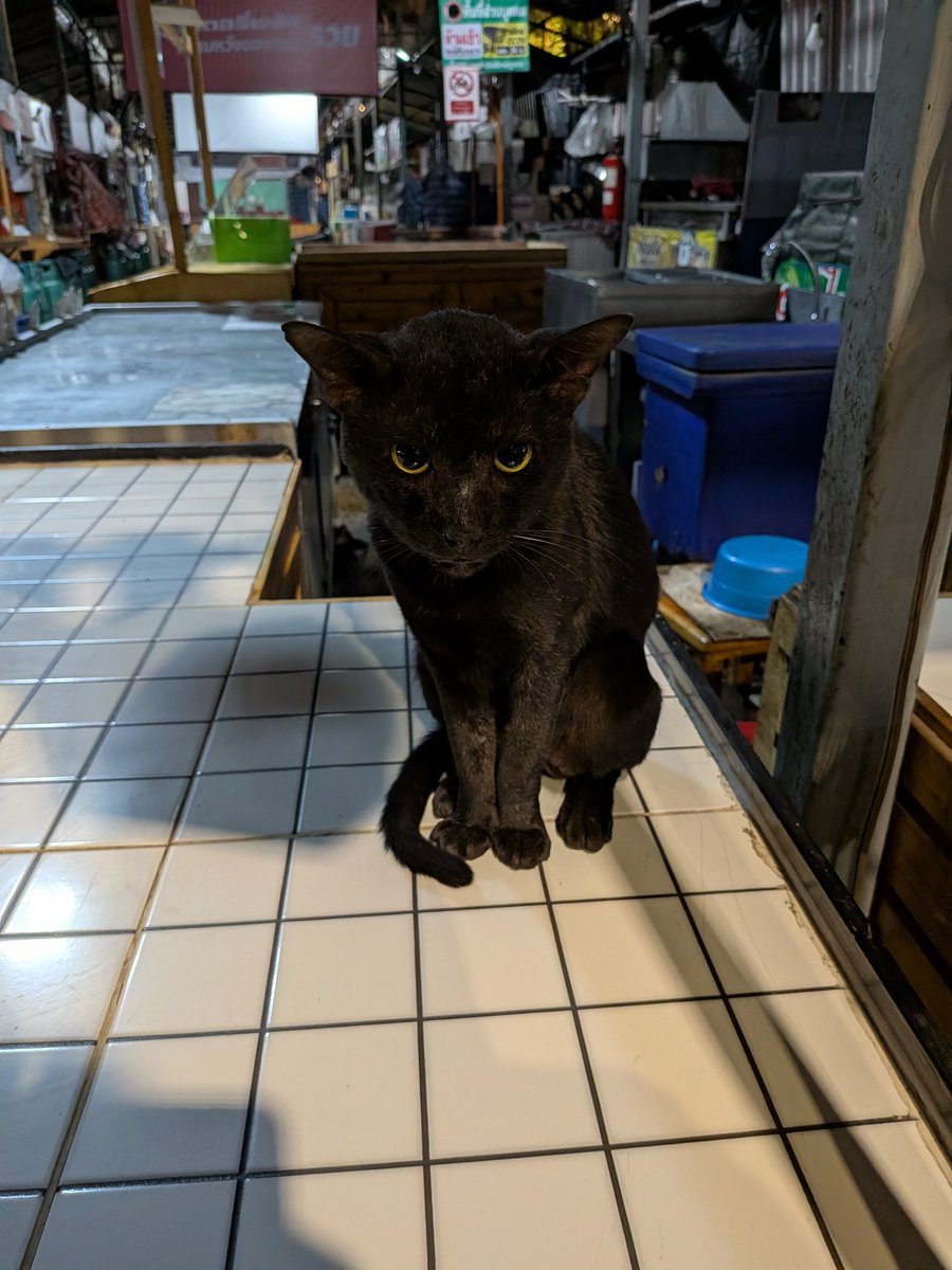 nitt_kick tweet media