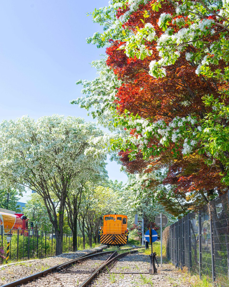 Visit Korea UK tweet media