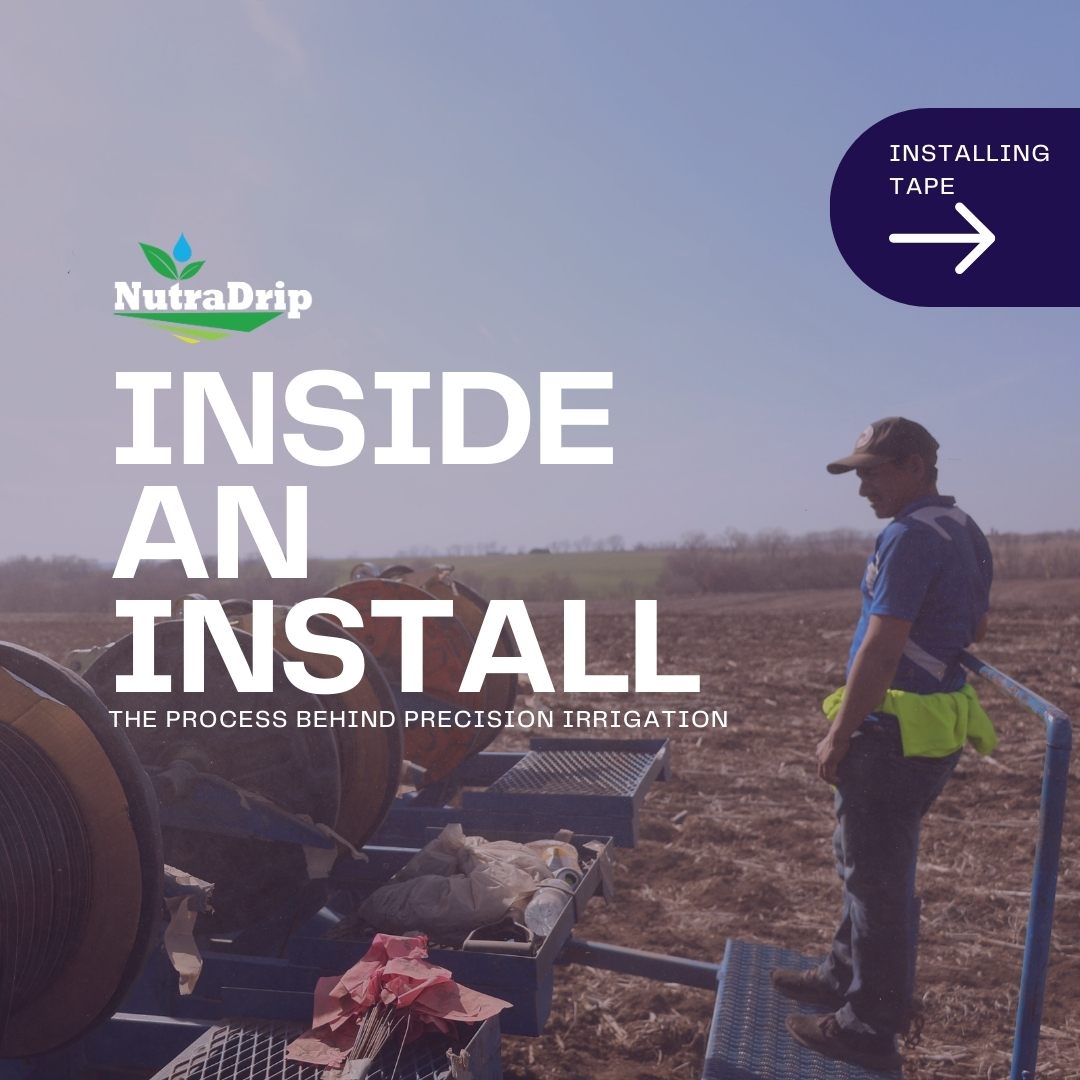 NutraDrip tweet media