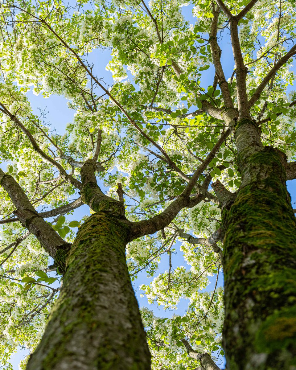 Visit Korea UK tweet media