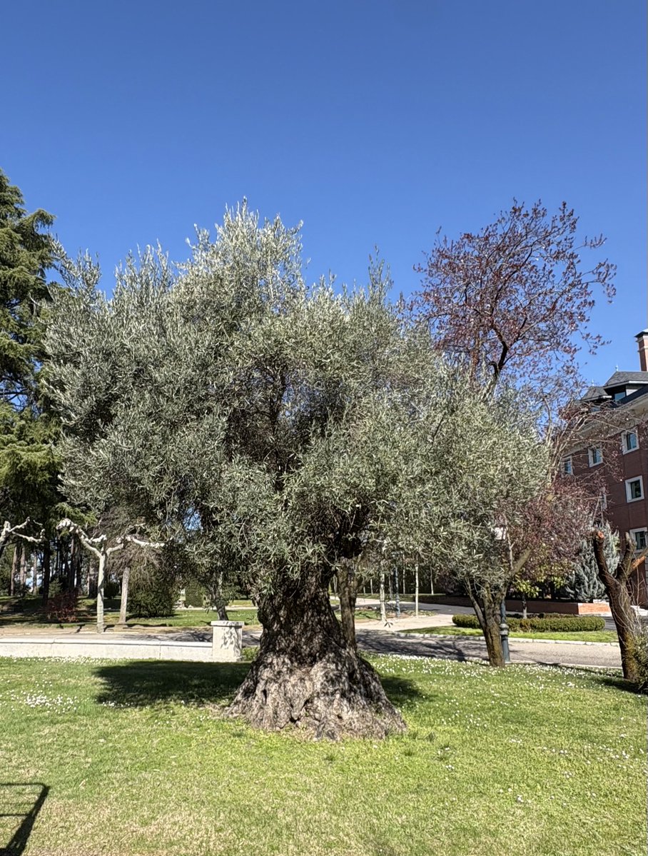 ALASTAIR CAMPBELL tweet media