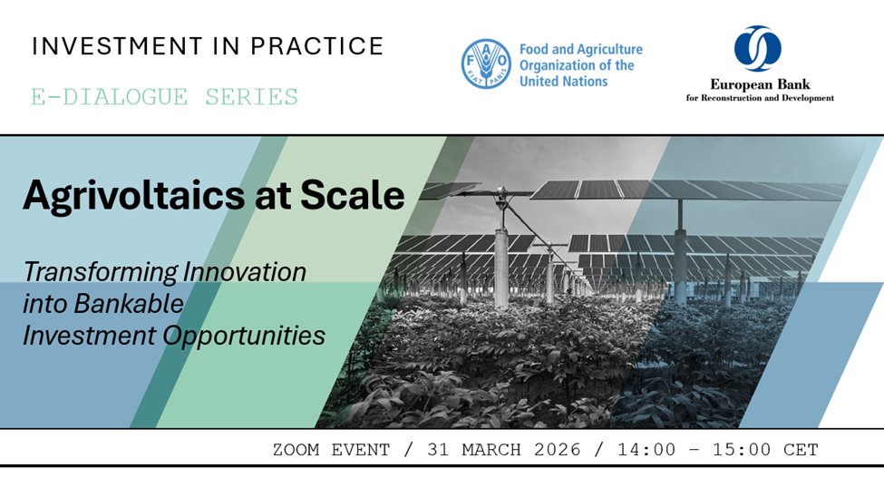 The EBRD tweet media