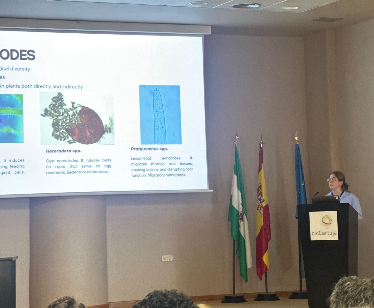 Diego Rubiales tweet media