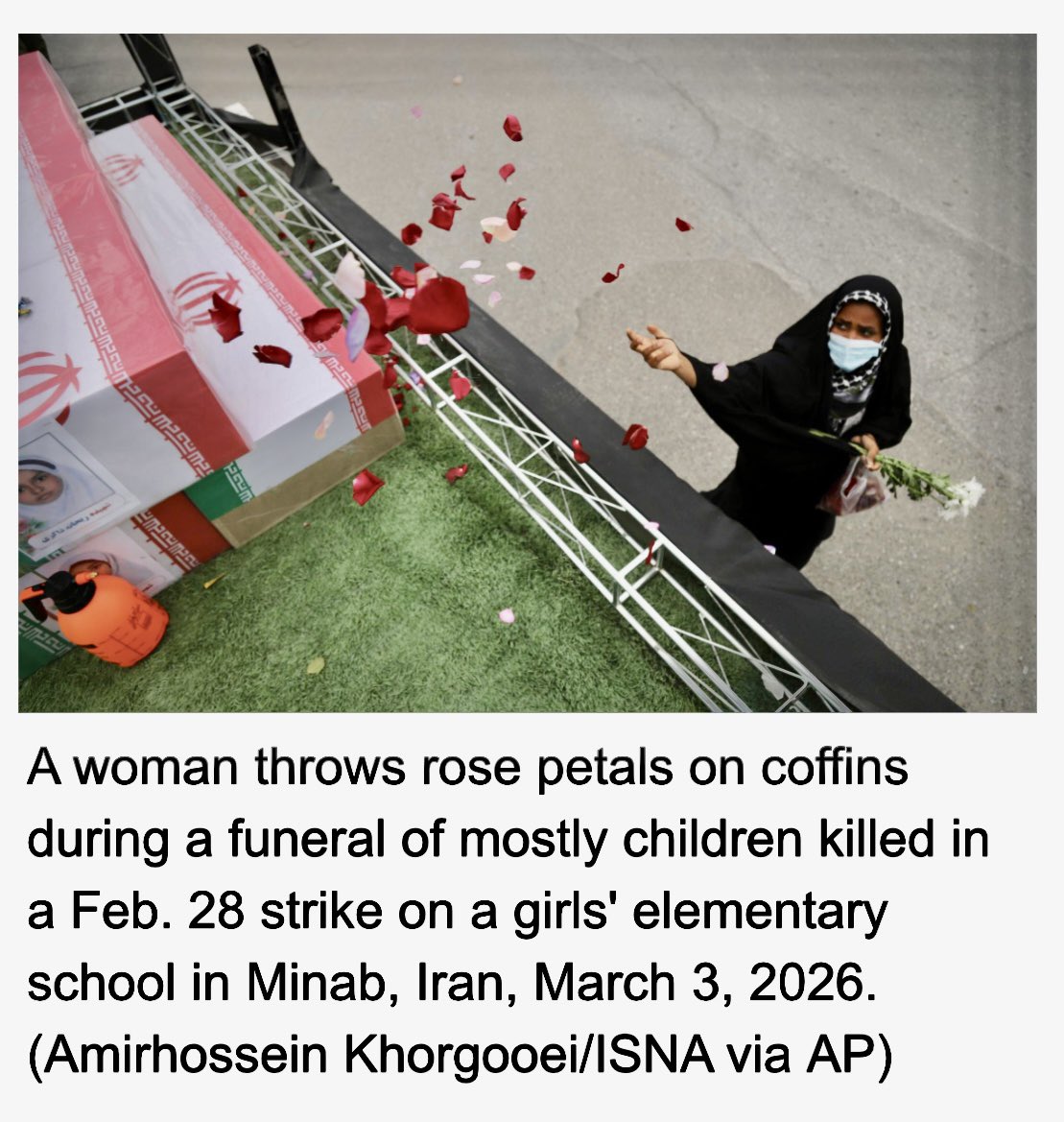 Petepaul's tweet photo. Rose petals, wet with tears
Tossed by grieving hands with a broken heart
Land softly on neatly stacked boxes of small children
Lying still
In their final resting place. 🙏🏻#iran #war https://t.co/TSRIgnwLem