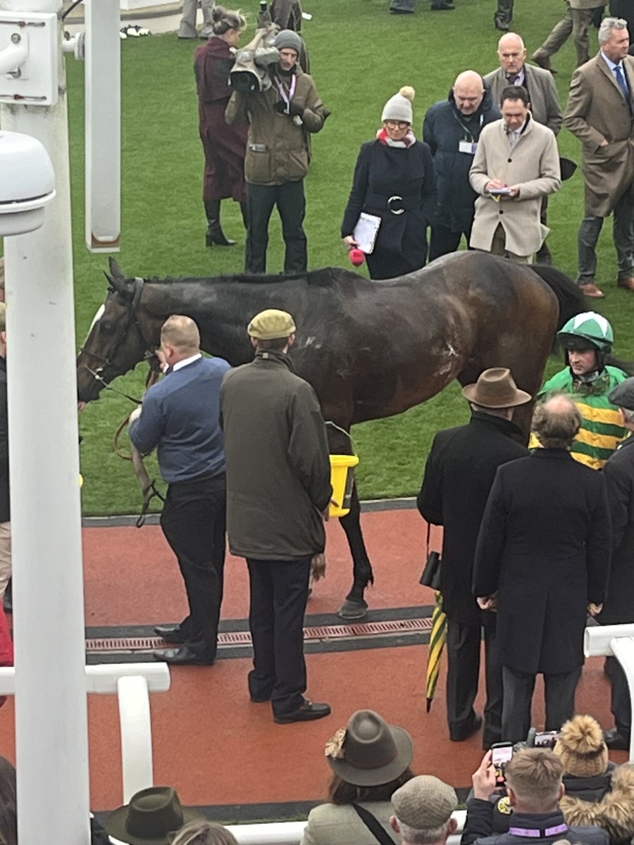 ednicholson tweet media