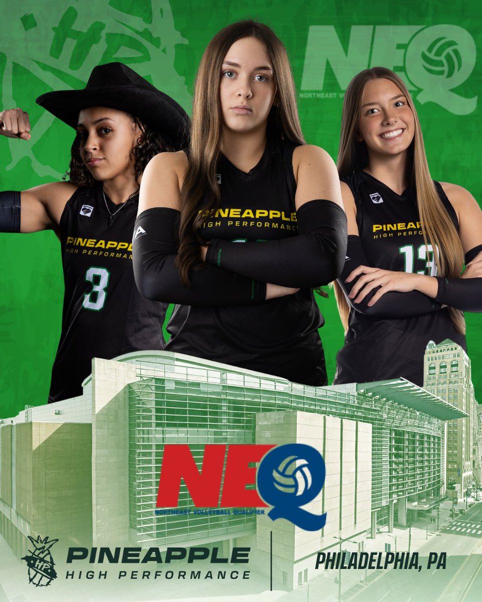 Pineapple High Performance tweet media