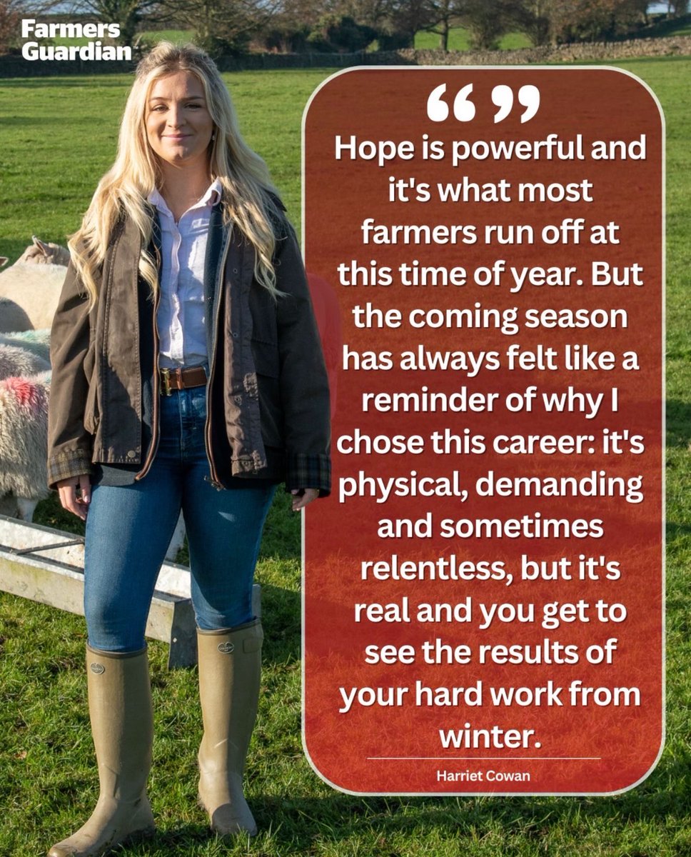 The Farmer's Dog tweet media