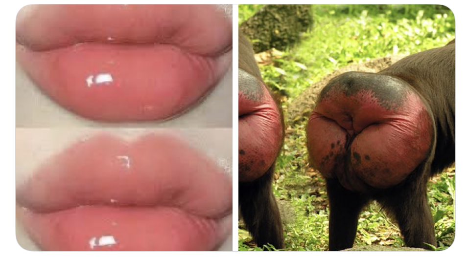 أ.د. سامي بحلس tweet media