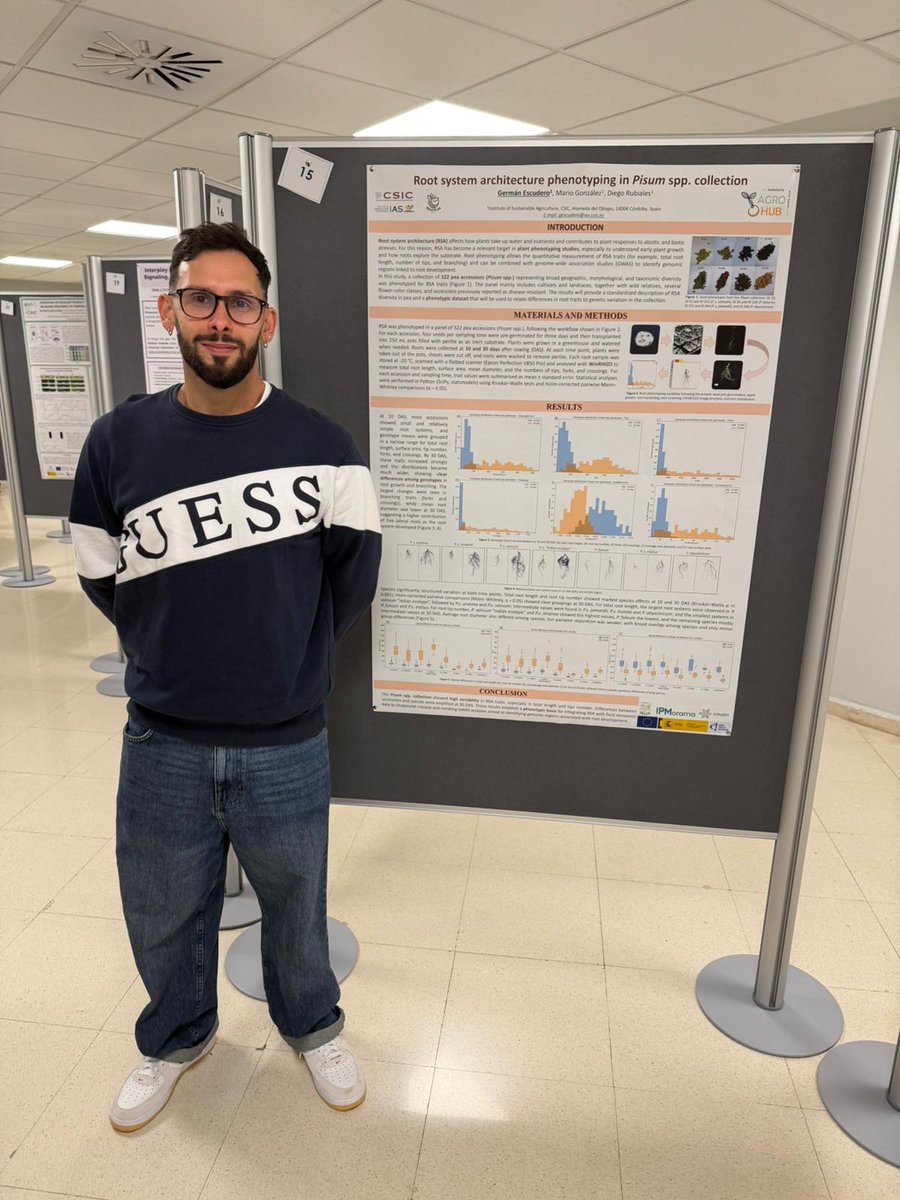 Diego Rubiales tweet media