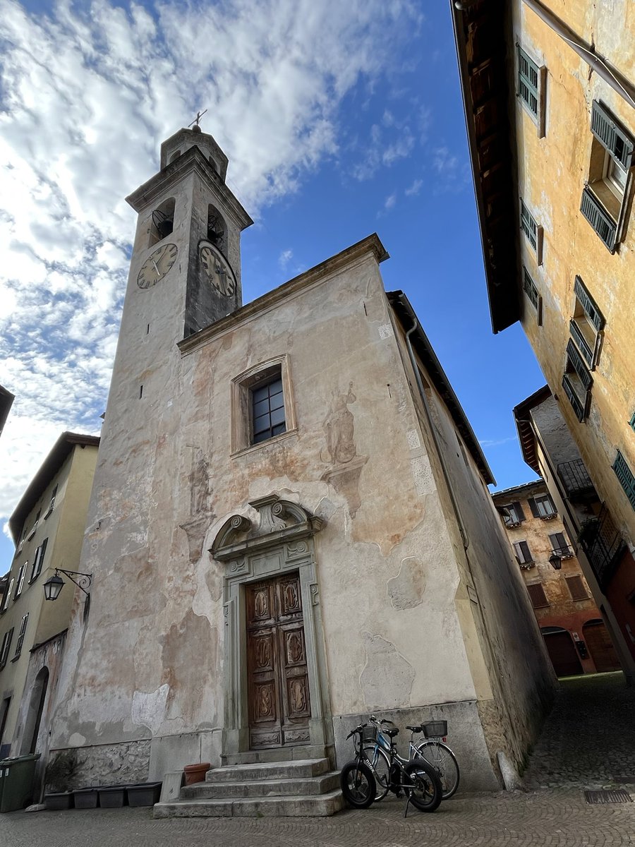 bona fide tweet media