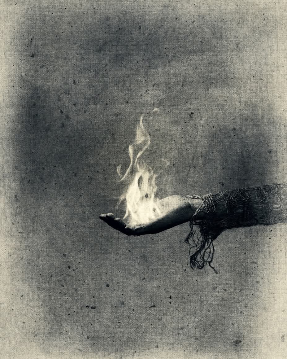 Scare crow tweet media