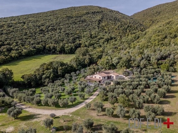 Biliyor Muydunuz tweet media