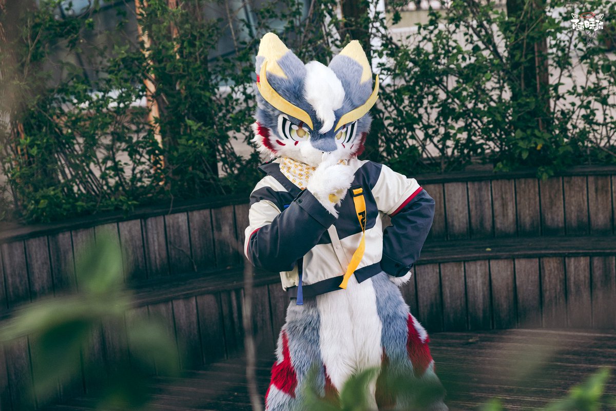 猫柠Maoning ～ tweet media