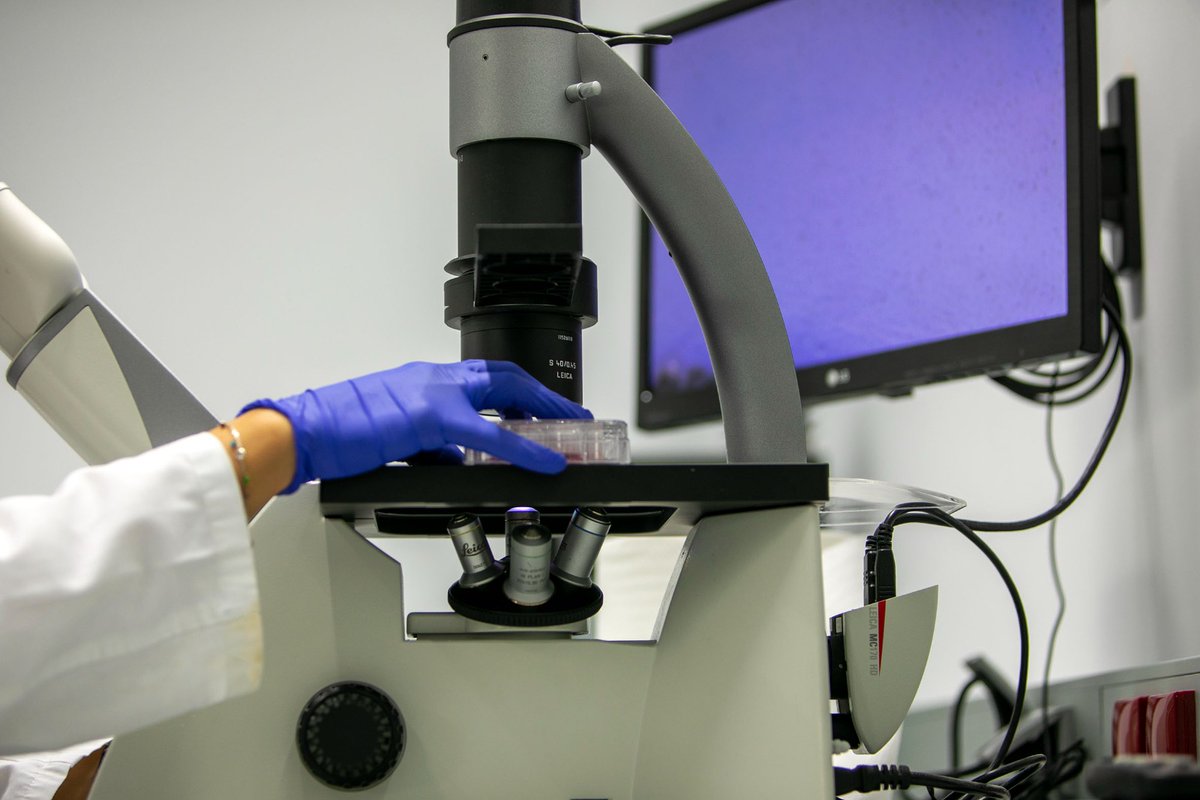 Román Rodríguez tweet media