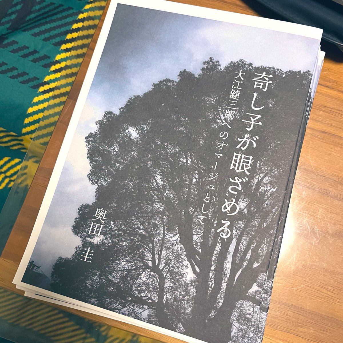 3/14,15(土•日)はOsaka Zine + DIY Festに初出店します📚今回はトリアロコがこれまで作ってきたものに加え、広島のアクティビスト仲間・奥田圭さんの短編小説も初めて販売します。圭さんも会場に来る予定です。刷りたての新作をぜひ見にきてください。まだまだ印刷・製本中。