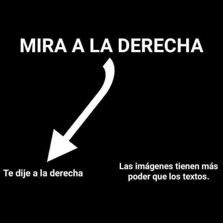 ( Ave Fénix) Es difícil pero es posible. tweet media