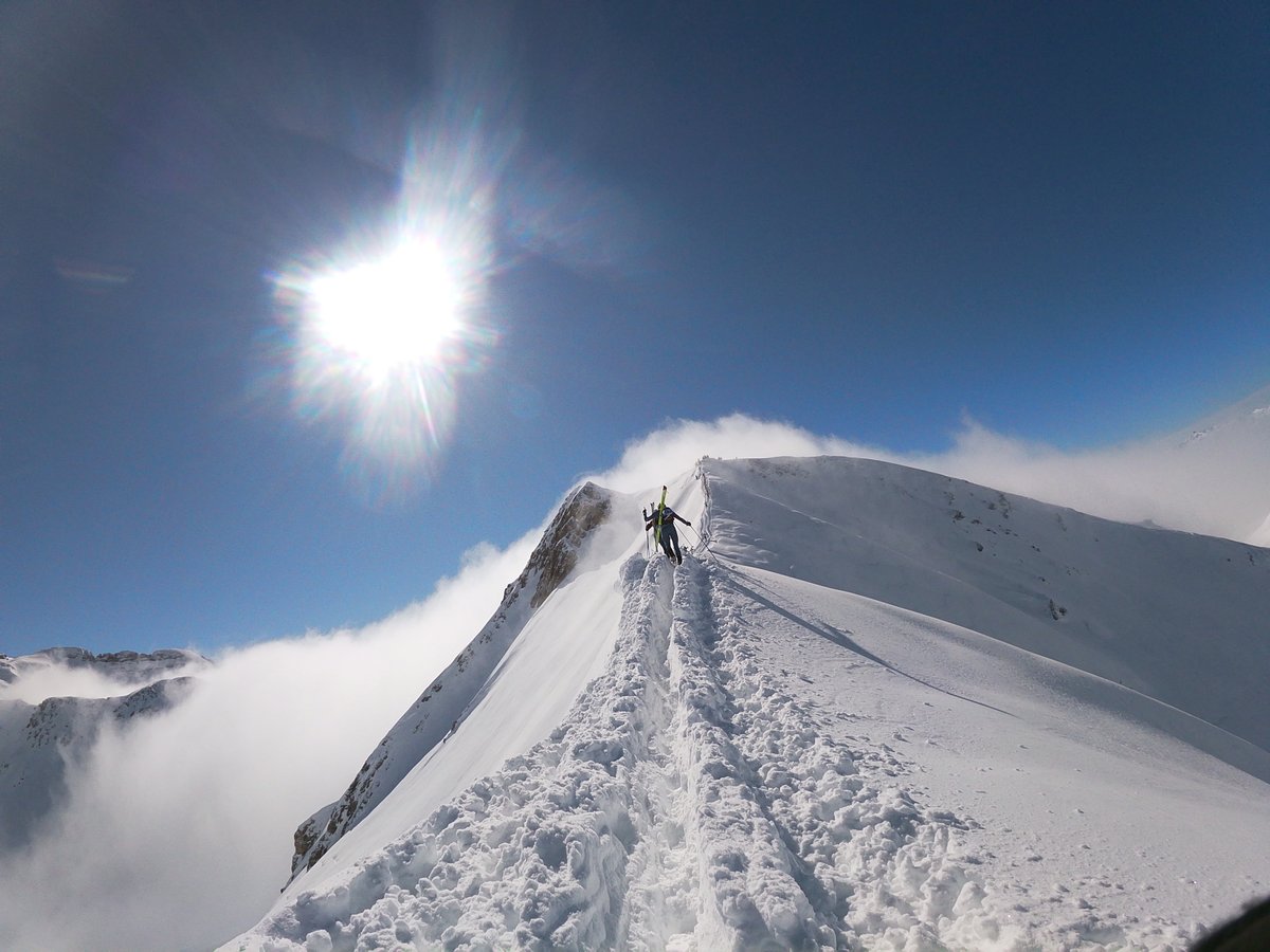 Sportvicious tweet media