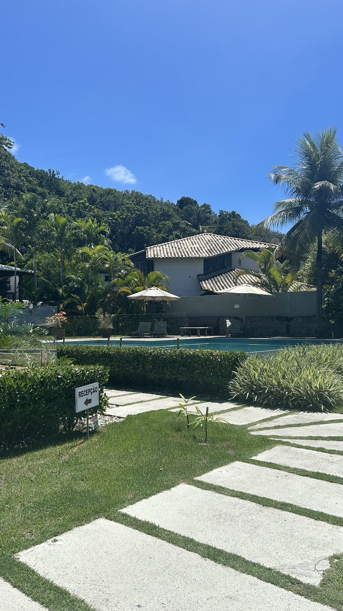 elissabat tweet media