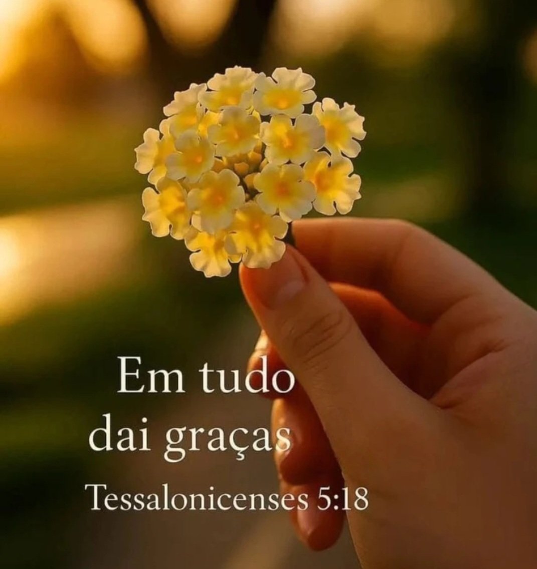 ● Iza ● ﮩ٨ـﮩﮩ٨ـ♡ﮩ٨ـﮩﮩ٨ـ tweet media