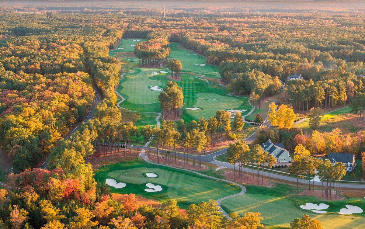 VirginiaGCSA tweet media