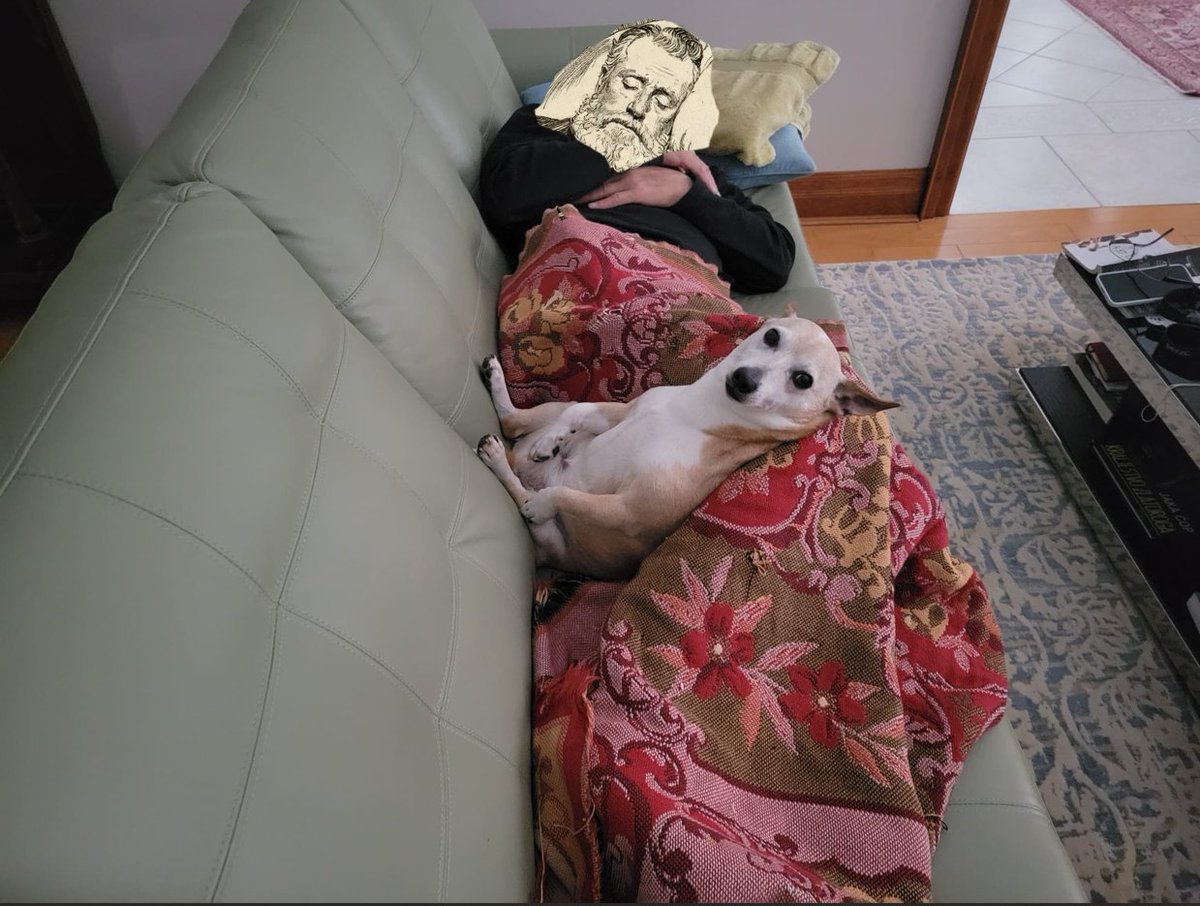 MaxGameStudio's tweet photo. Sorry daaah fans. Max has decided to take the day off. Please check back tomorrow for more updates.

#gamedev #dayoff https://t.co/XxD2bvHihz
