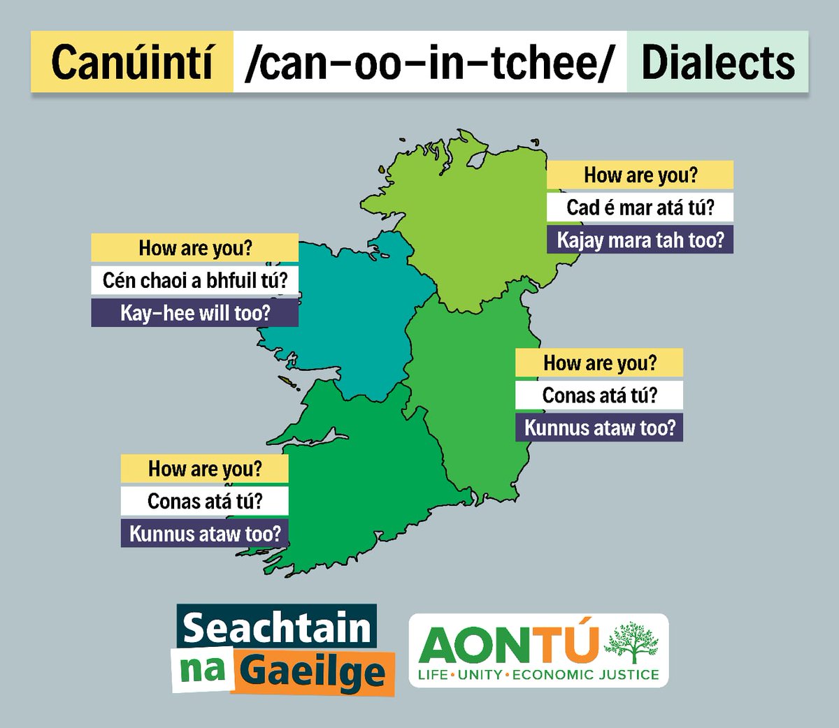 Cllr. Emer Tóibín tweet media